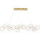Canada LED 22 inch Gold LED Chandelier Ceiling Light